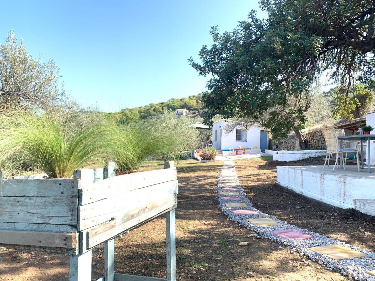Olive Hill Private House Villa Poros Town Exteriör bild