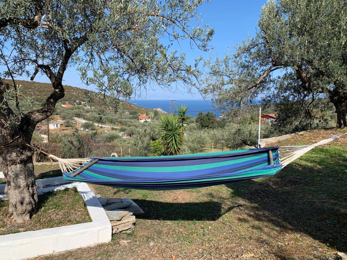 Olive Hill Private House Villa Poros Town Exteriör bild