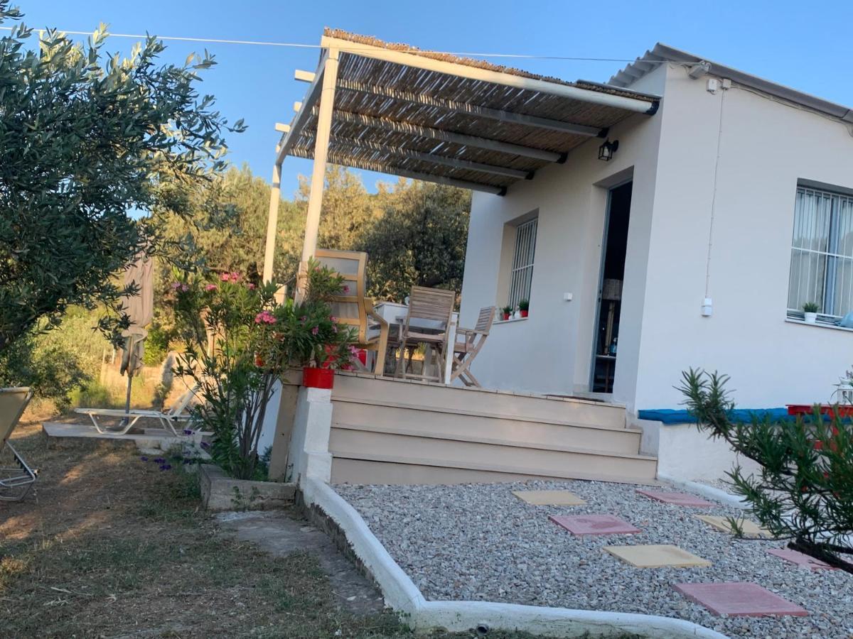 Olive Hill Private House Villa Poros Town Exteriör bild