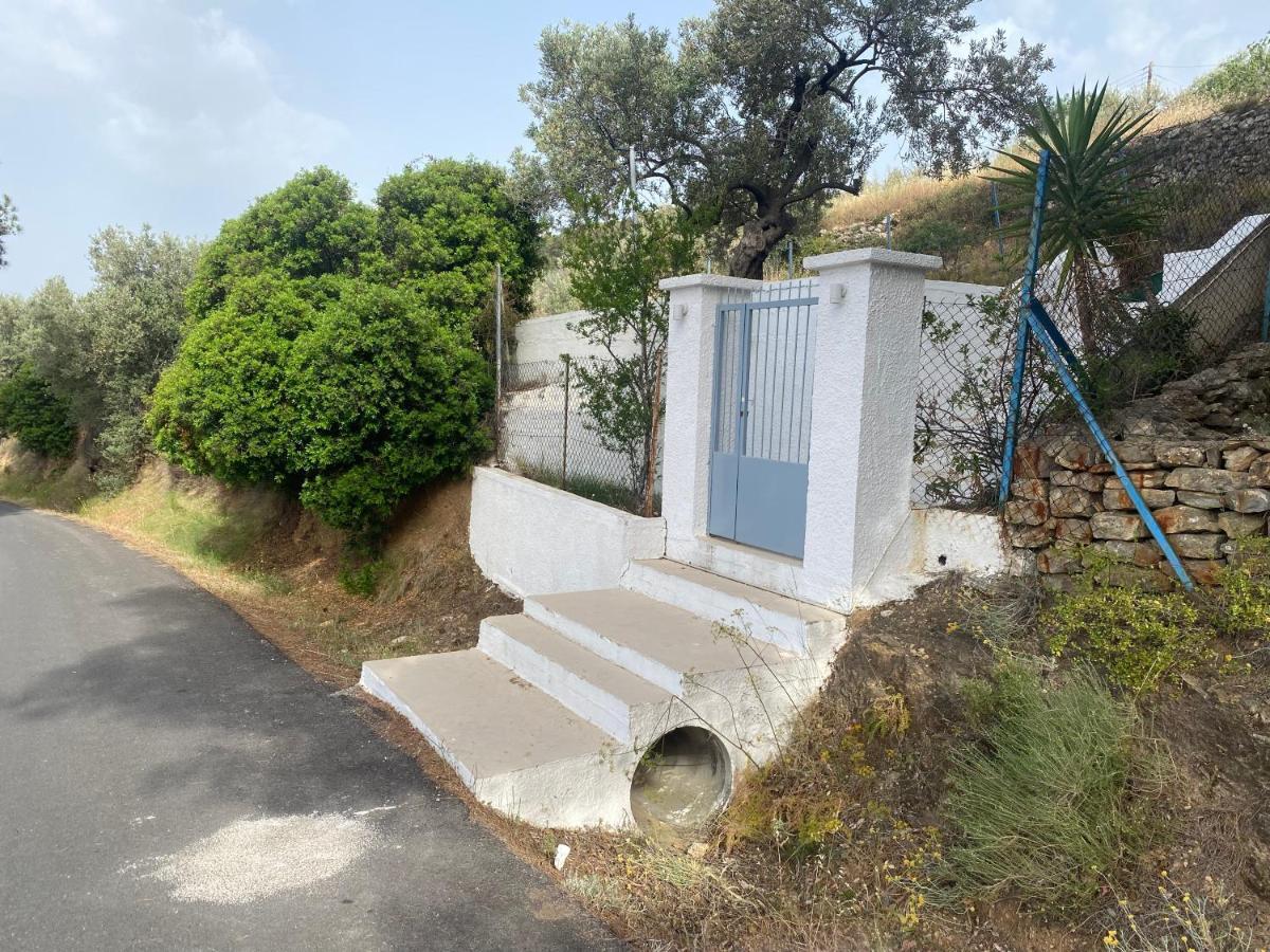 Olive Hill Private House Villa Poros Town Exteriör bild